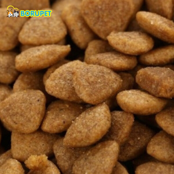 Hat Catsrang 5kg 900x900 2